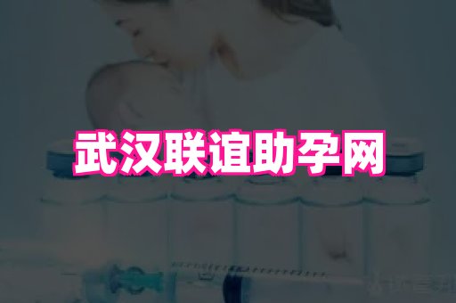 南京助孕网 2